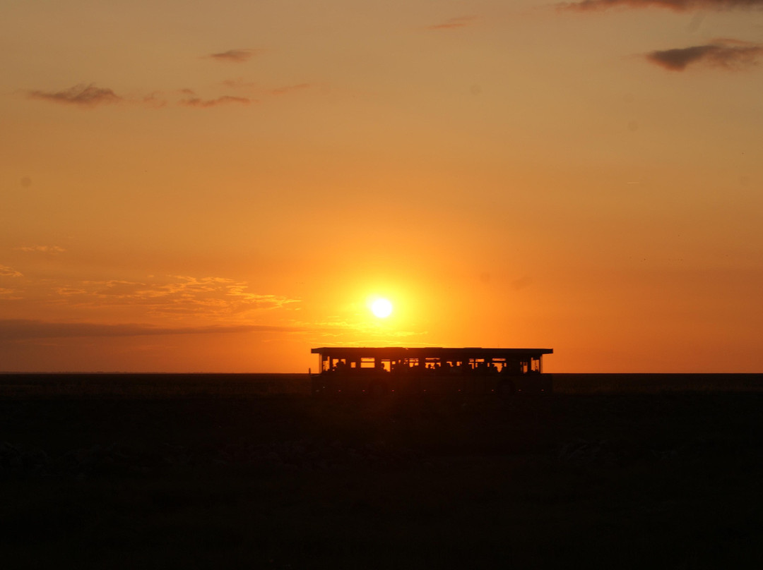 Archéoscope du Mont Saint Michel-圣米歇尔山必去景点