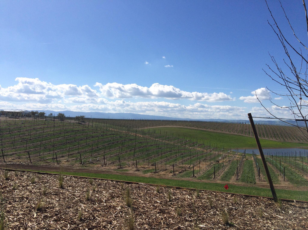 Matchbook Wine Company-Zamora必去景点