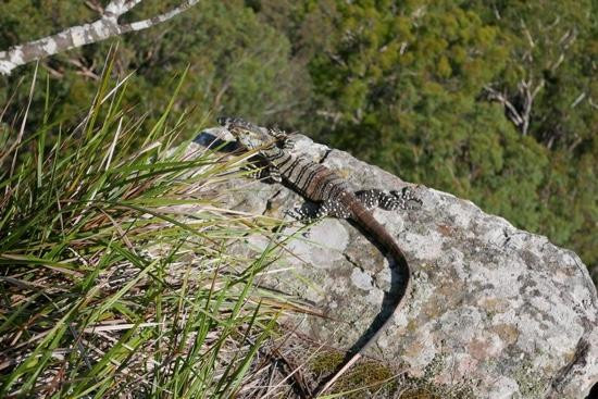 Badgerys Lookout-Tallong必去景点