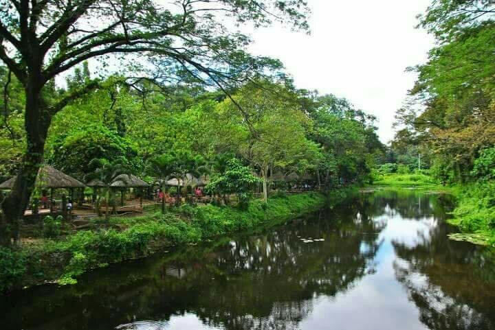 La Mesa Eco Park景点图片