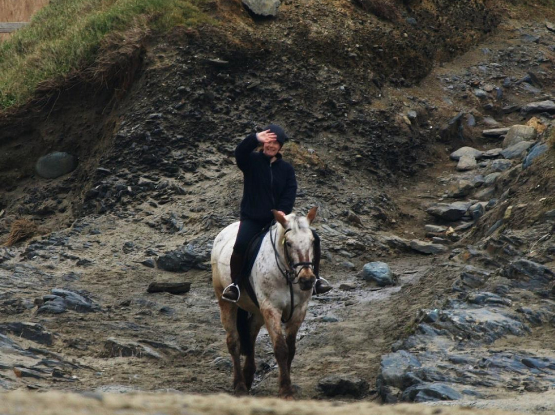 Newton Equestrian Holidays-Mullion必去景点