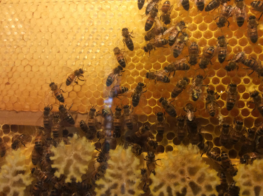 Bartholomews Meadery-丹麦必去景点