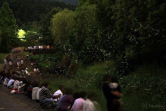 Hotarunosato, Motogi River Park-福津市必去景点