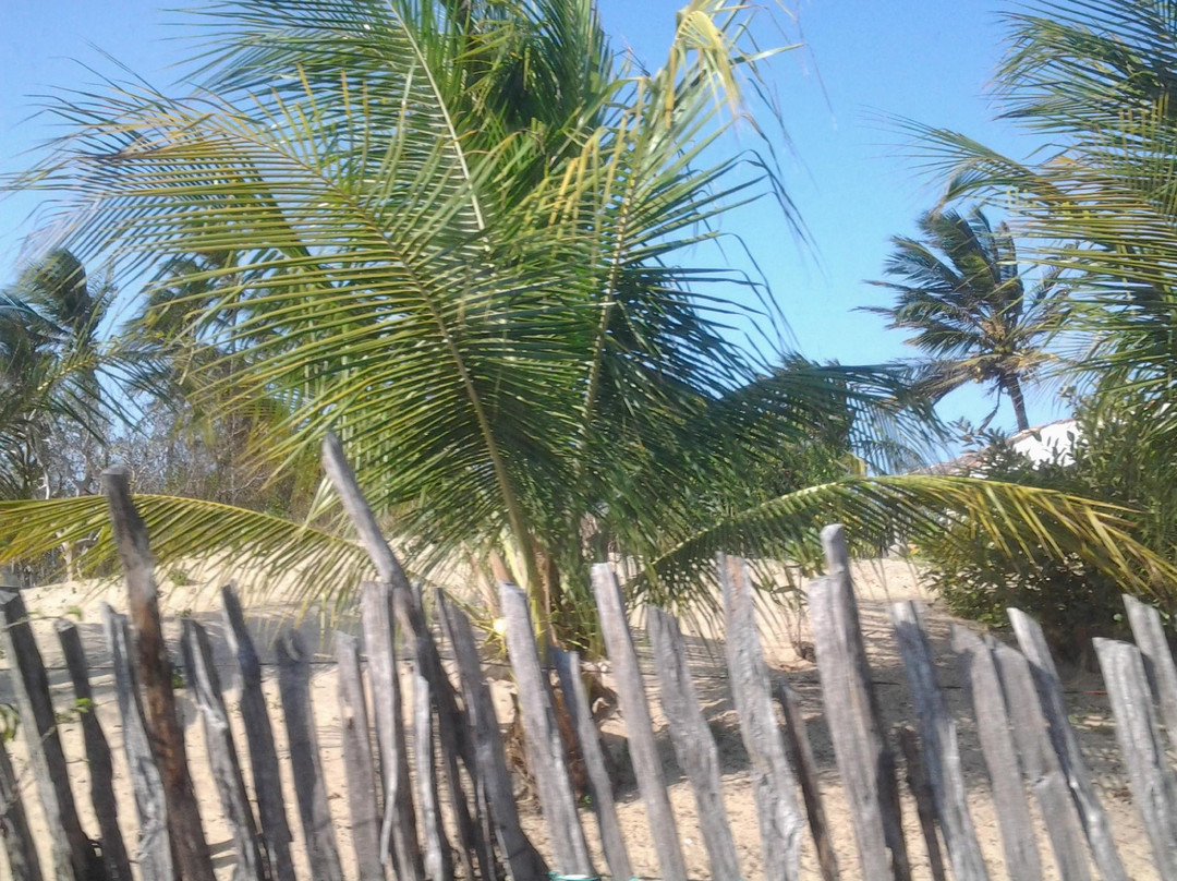 Arpoador Beach景点图片
