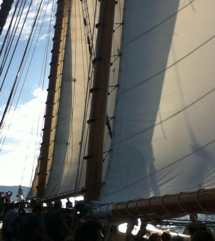 Schooner Zodiac - Day Cruise景点图片