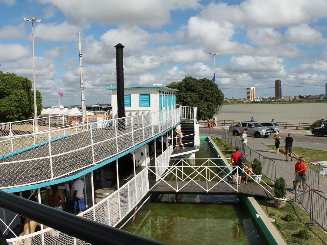 Vapor Saldanha Marinho-Juazeiro必去景点