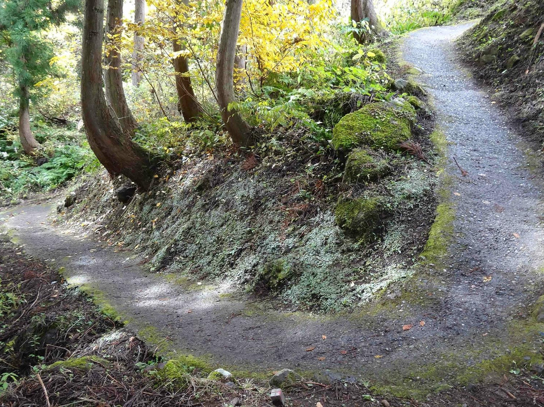 Maekura Bridge-津南町必去景点