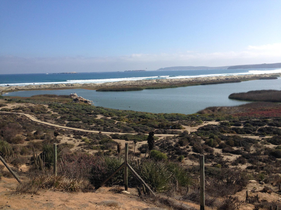 Los Vilos旅游攻略图片