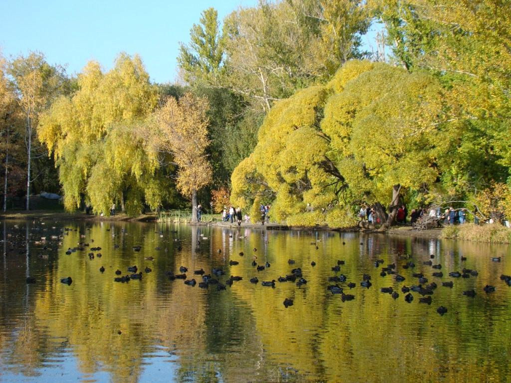 Arboretum Park Exhibition景点图片