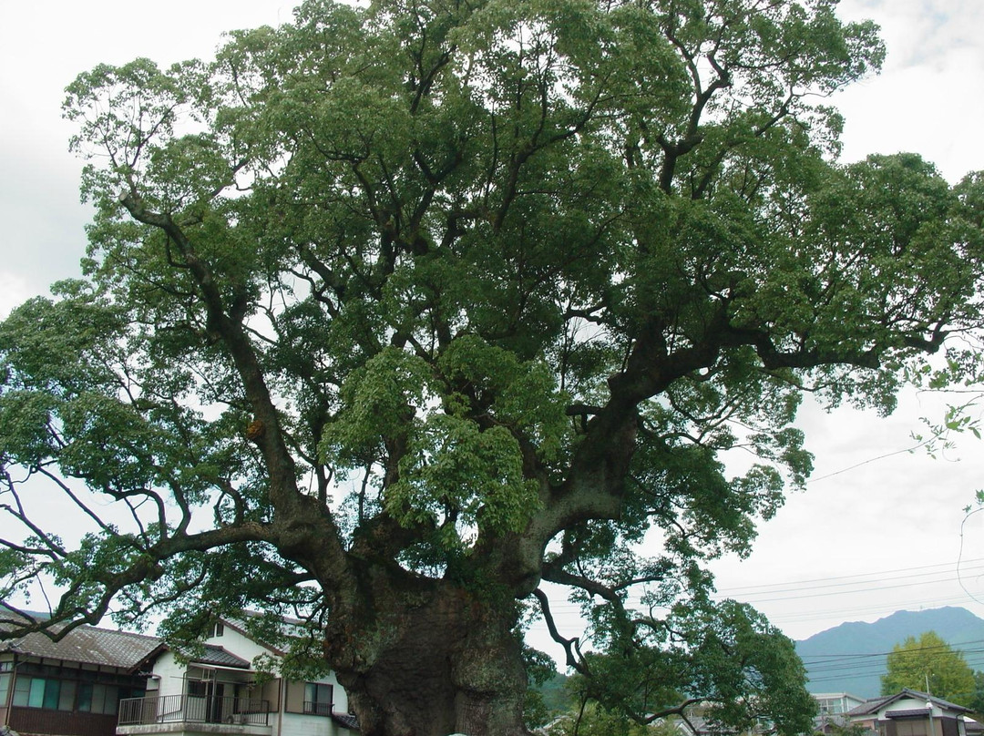 Kawagono Okusu-武雄市必去景点