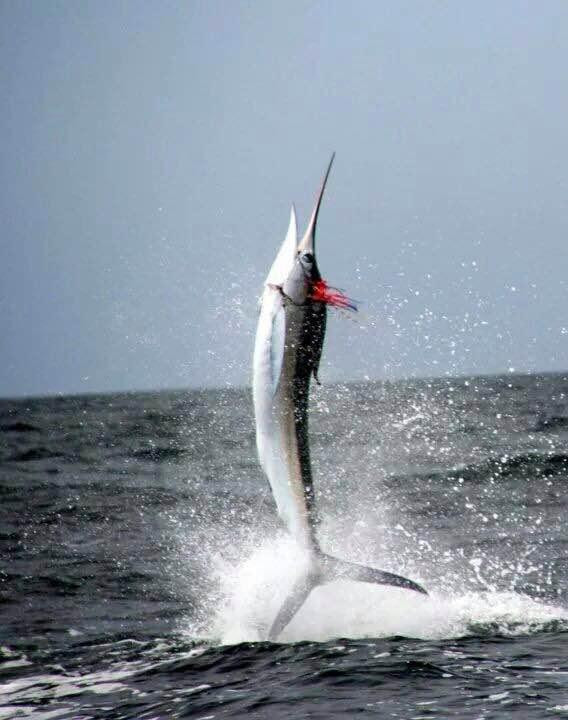 Ecuador Fishing Adventures-萨利纳斯必去景点