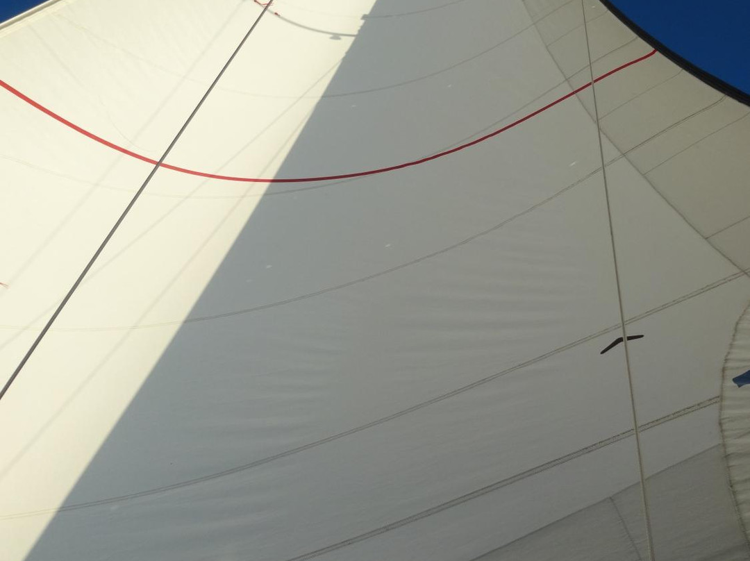 On The Wind Sailing Cruises-新伯尔尼必去景点