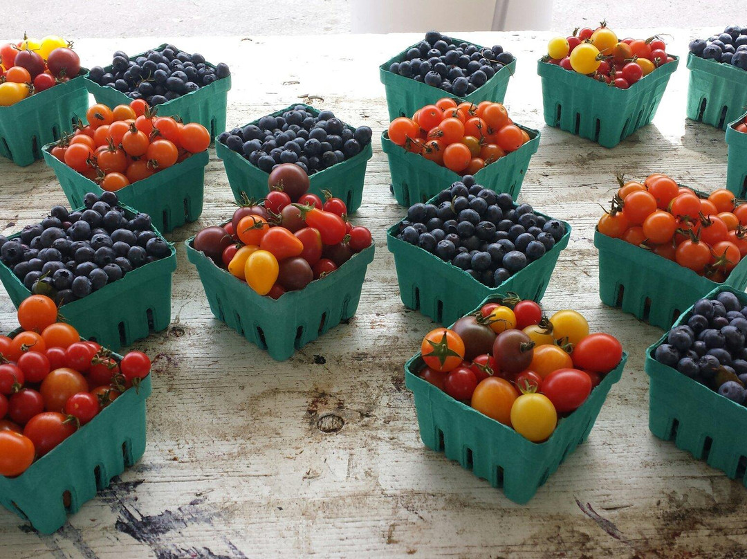 Lake Oswego Farmers' Market-莱克奥斯韦戈必去景点