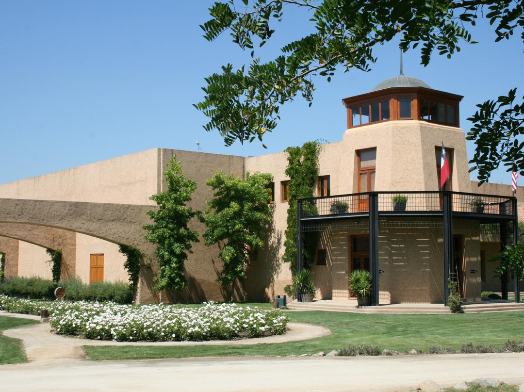 William Cole Vineyards-卡萨布兰卡必去景点