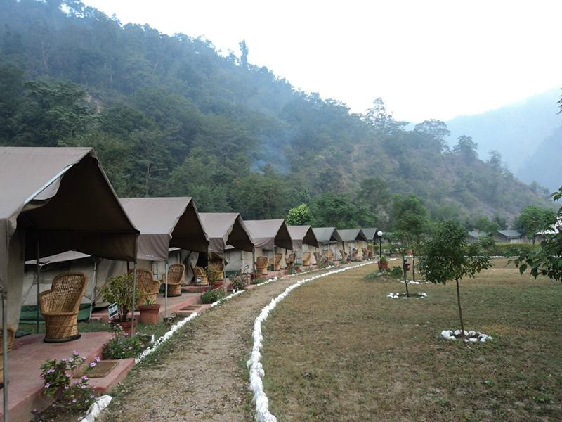Himalayan Bear Stream Camp