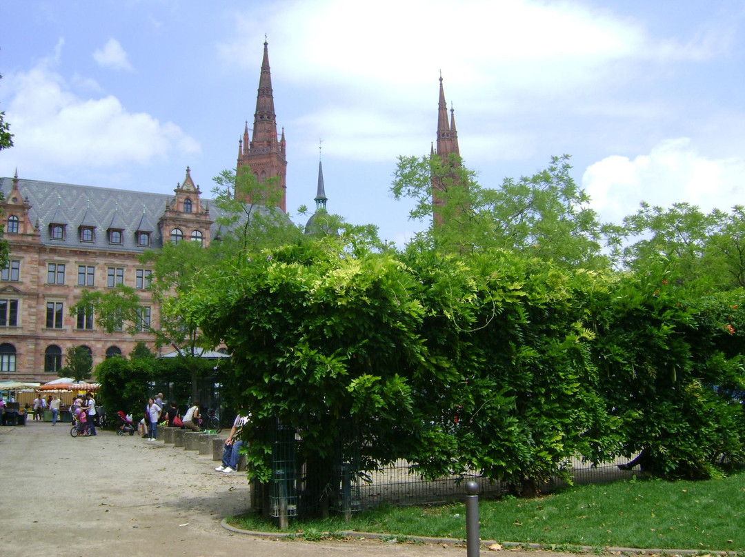 Neues Rathaus-威斯巴登必去景点