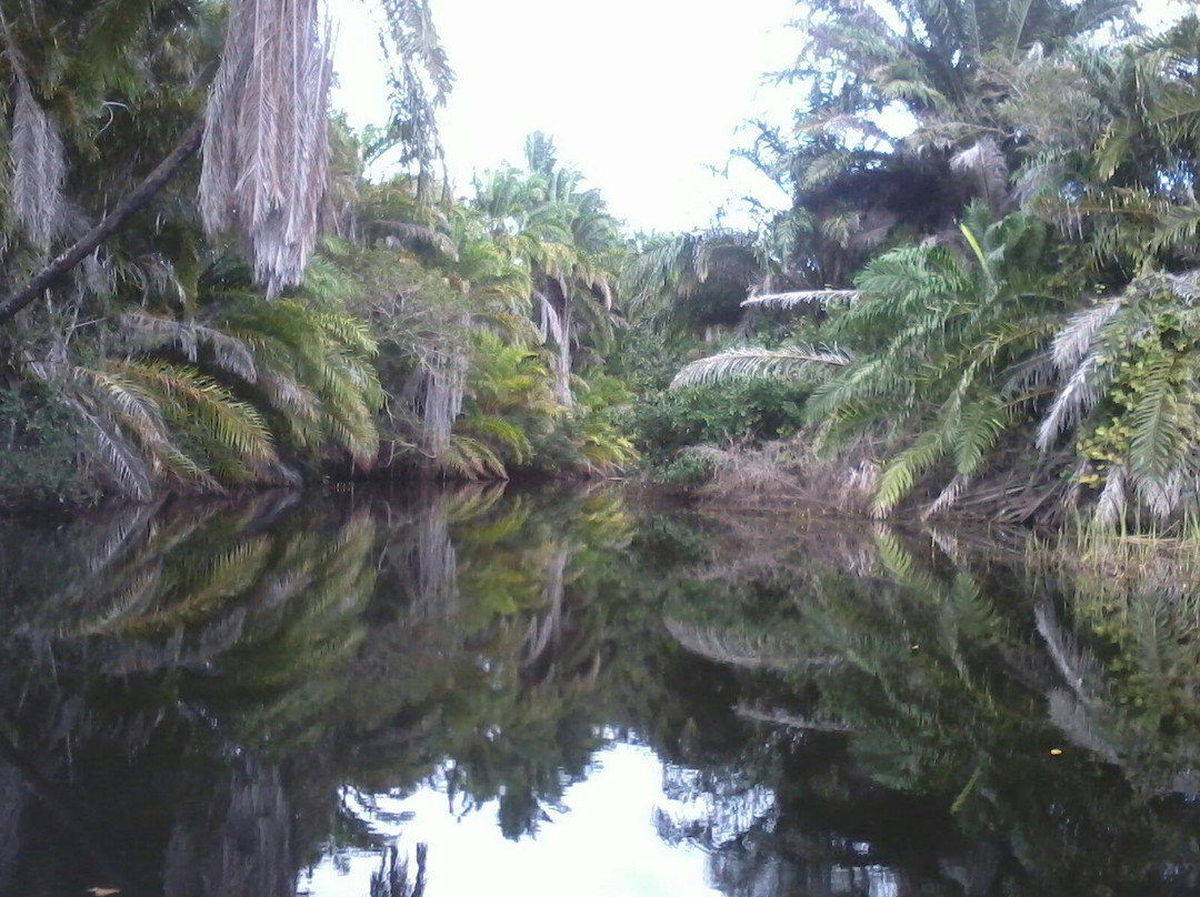Fazenda Marimbus-迪亚曼蒂那国家公园必去景点