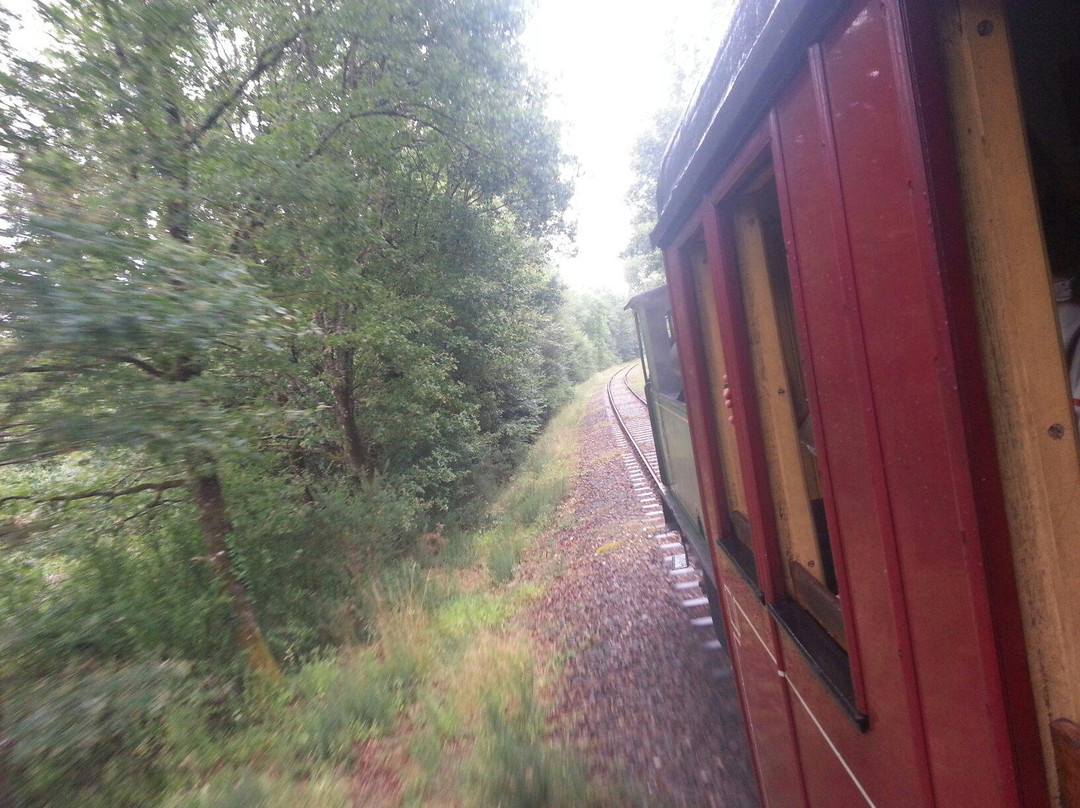 Train Touristique Guitres Marcenais景点图片