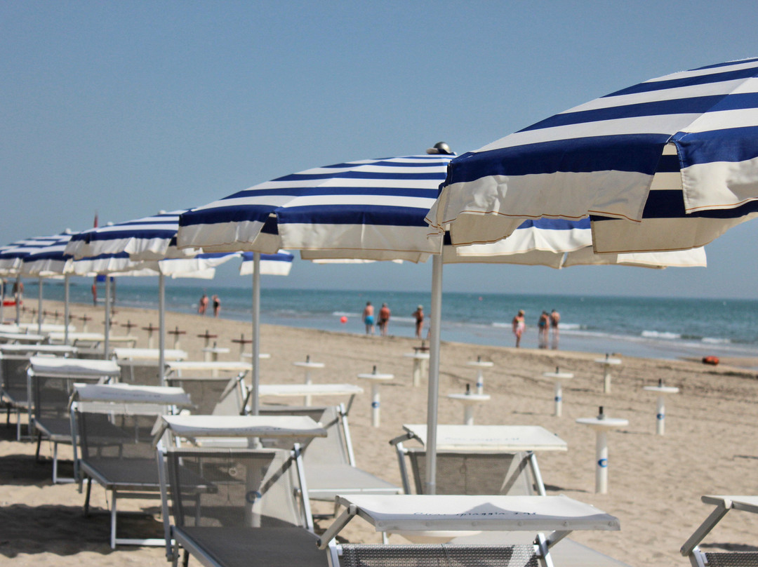 Oscar Spiaggia 298景点图片