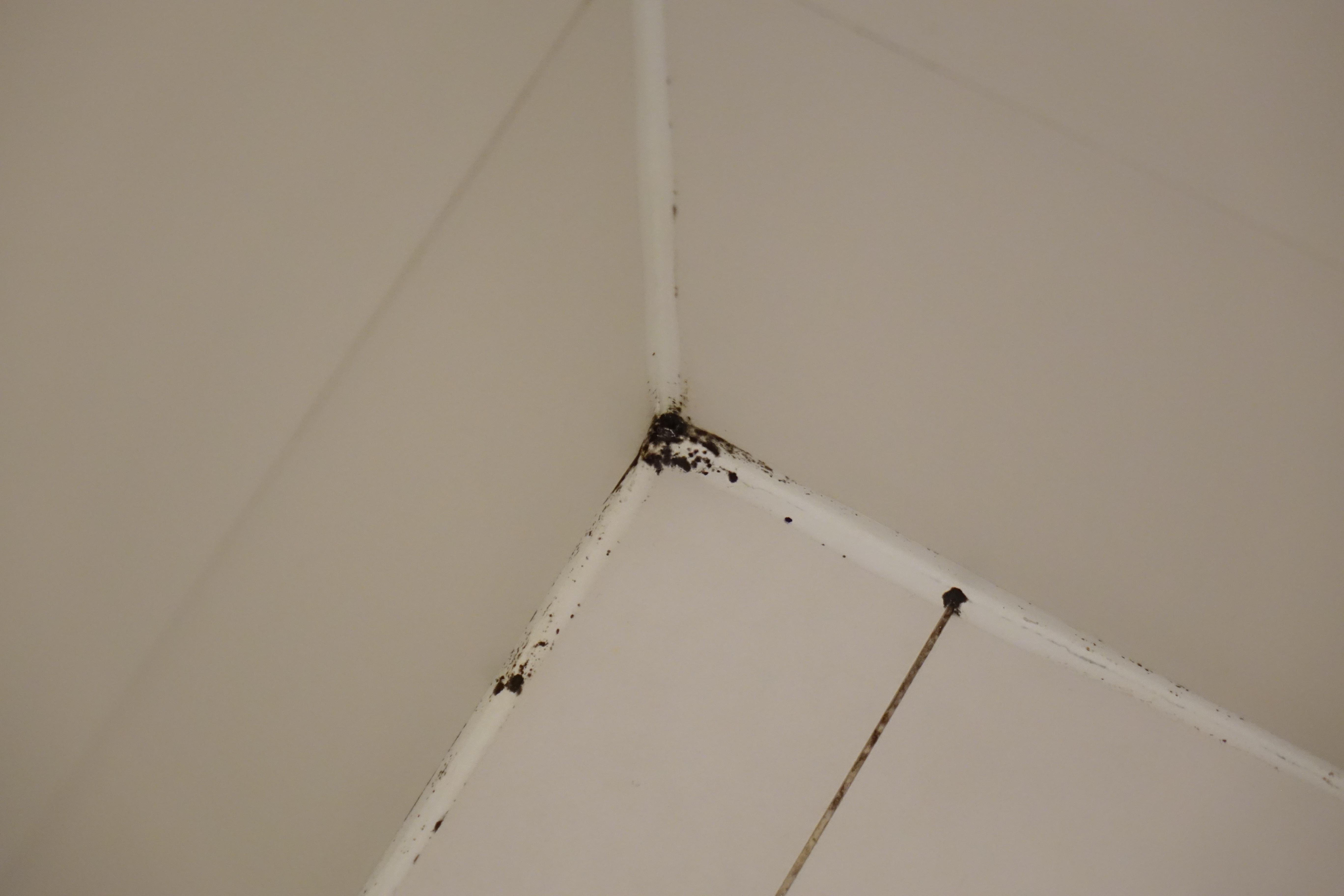 华京木棉花酒店-客卧