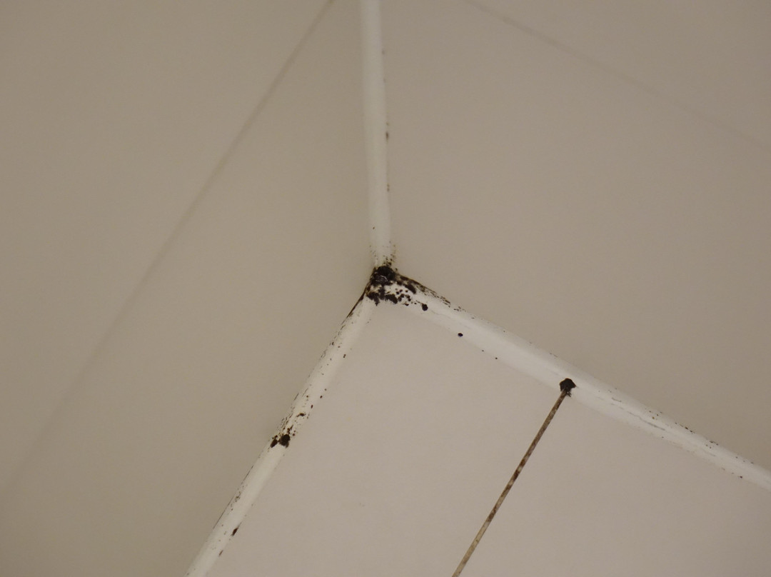 华京木棉花酒店主图