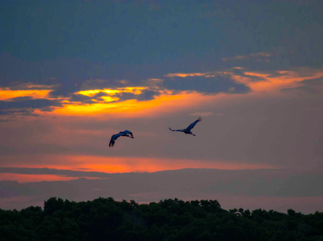 Fogg Dam Conservation Reserve景点图片