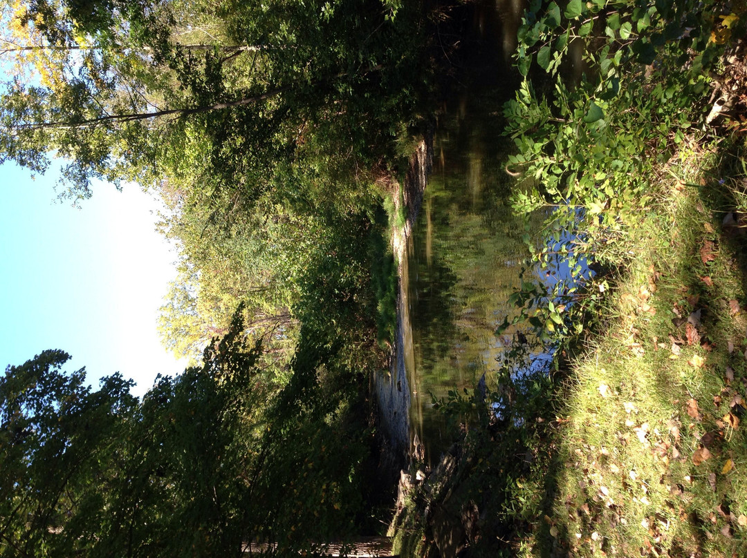 Tawawa Park-Sidney必去景点