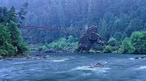 Umzantsi Afrika Tours-伊丽莎白港必去景点