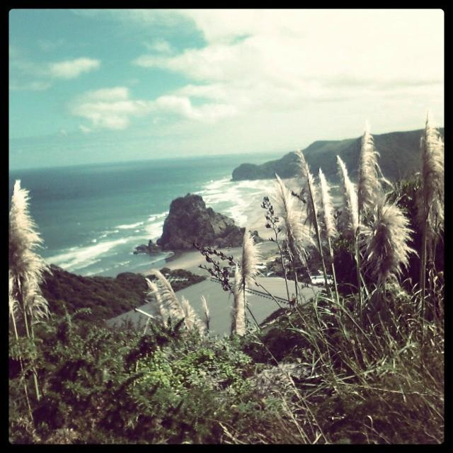 Twin Harbours Tours-奥克兰中心地区必去景点