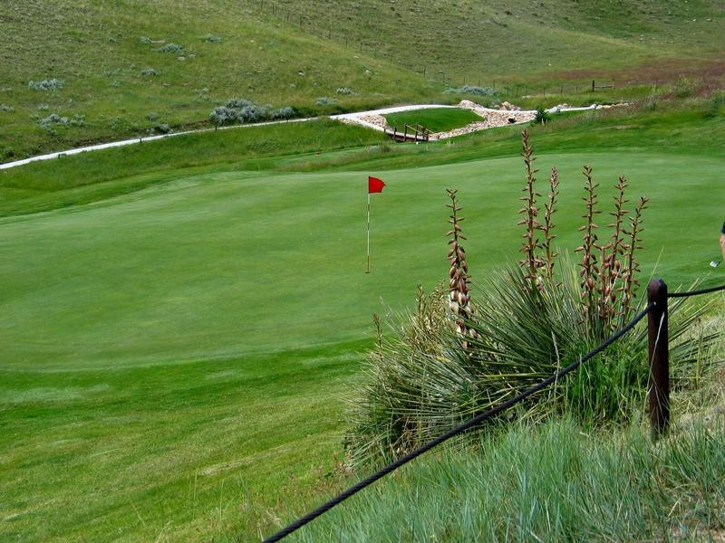 Buffalo Golf Club景点图片