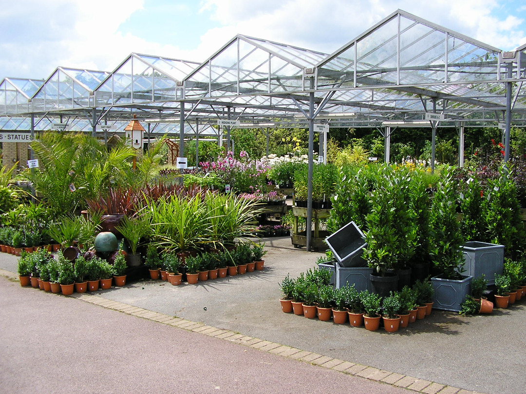 Tamar View Nurseries and Garden Centre Restaurant