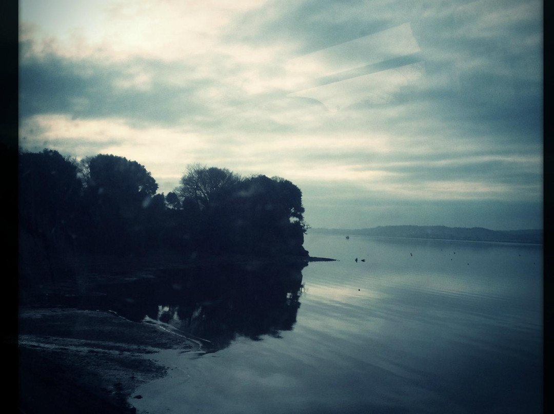 River Exe-埃克斯茅斯必去景点