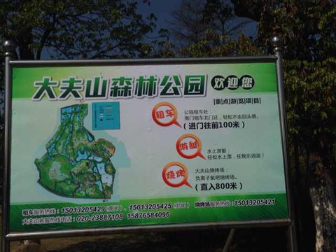 大夫山森林公园-广州市必去景点