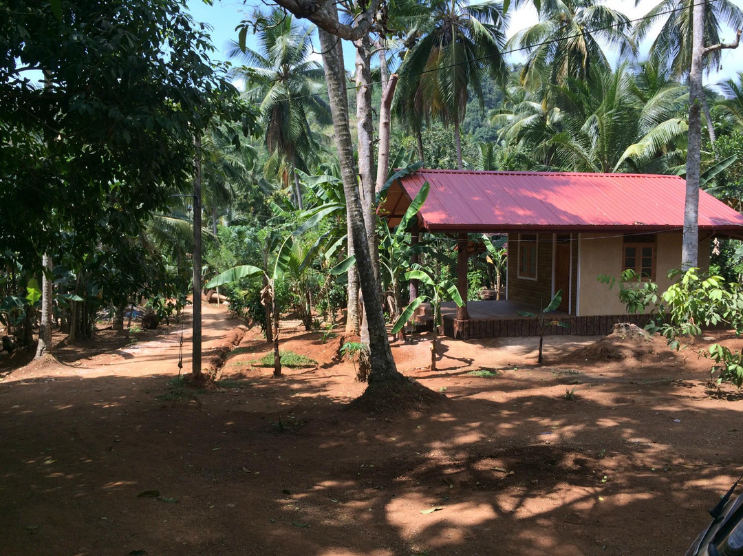 Sevana Agro