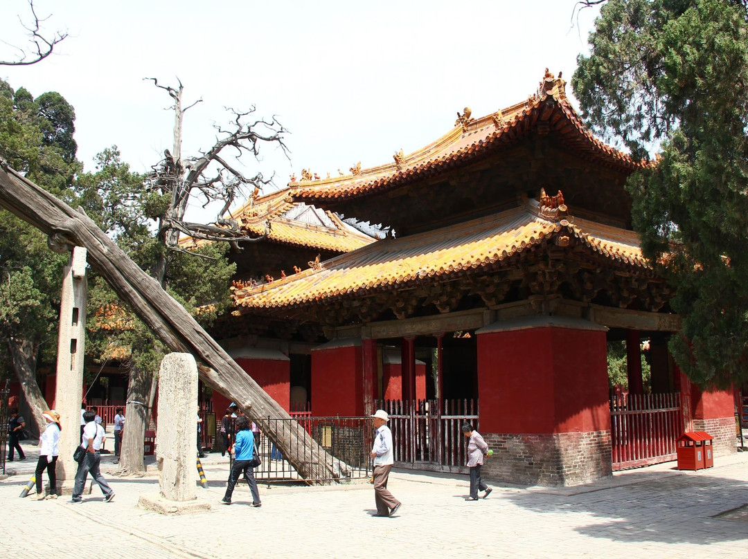 曲阜孔庙景点图片