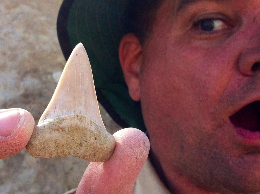 Buena Vista Museum of Natural History-贝克斯菲尔德必去景点