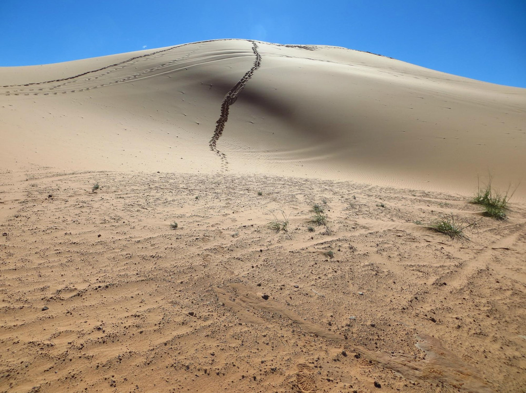 Coral Pink Sand Dunes State Park-卡纳布必去景点