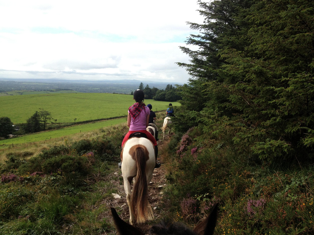 Ballyhoura Horse Trekking-Kilfinane必去景点