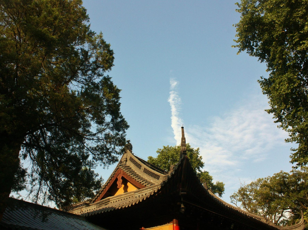 紫金山-南京市必去景点