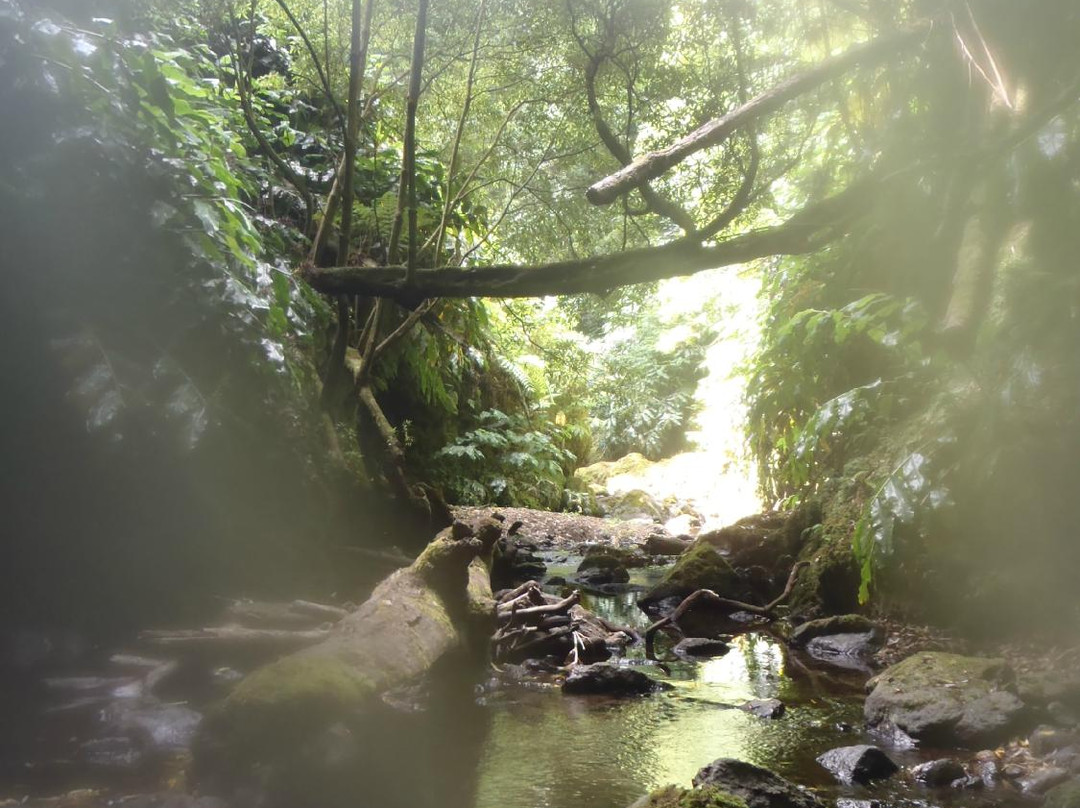 Picos de Aventura-蓬塔德尔加达必去景点