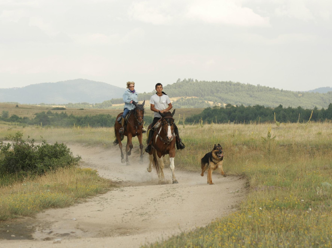 Equestrian Center Sivek-韦林格勒必去景点