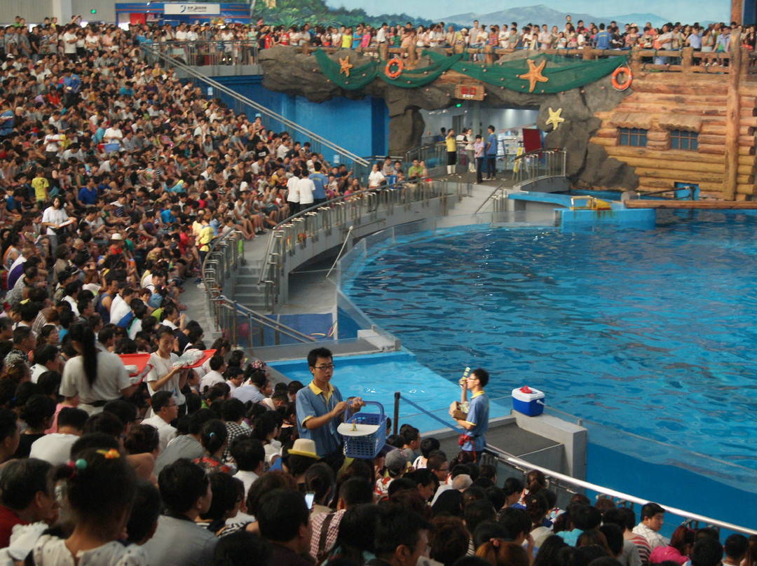 老虎滩海洋公园景点图片