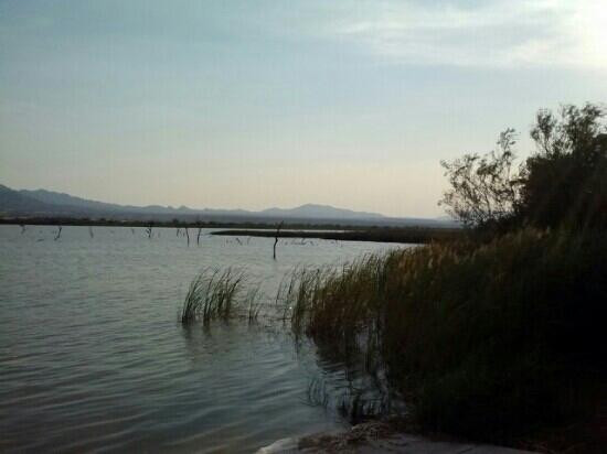 Havasu National Wildlife Refuge-尼德尔斯必去景点