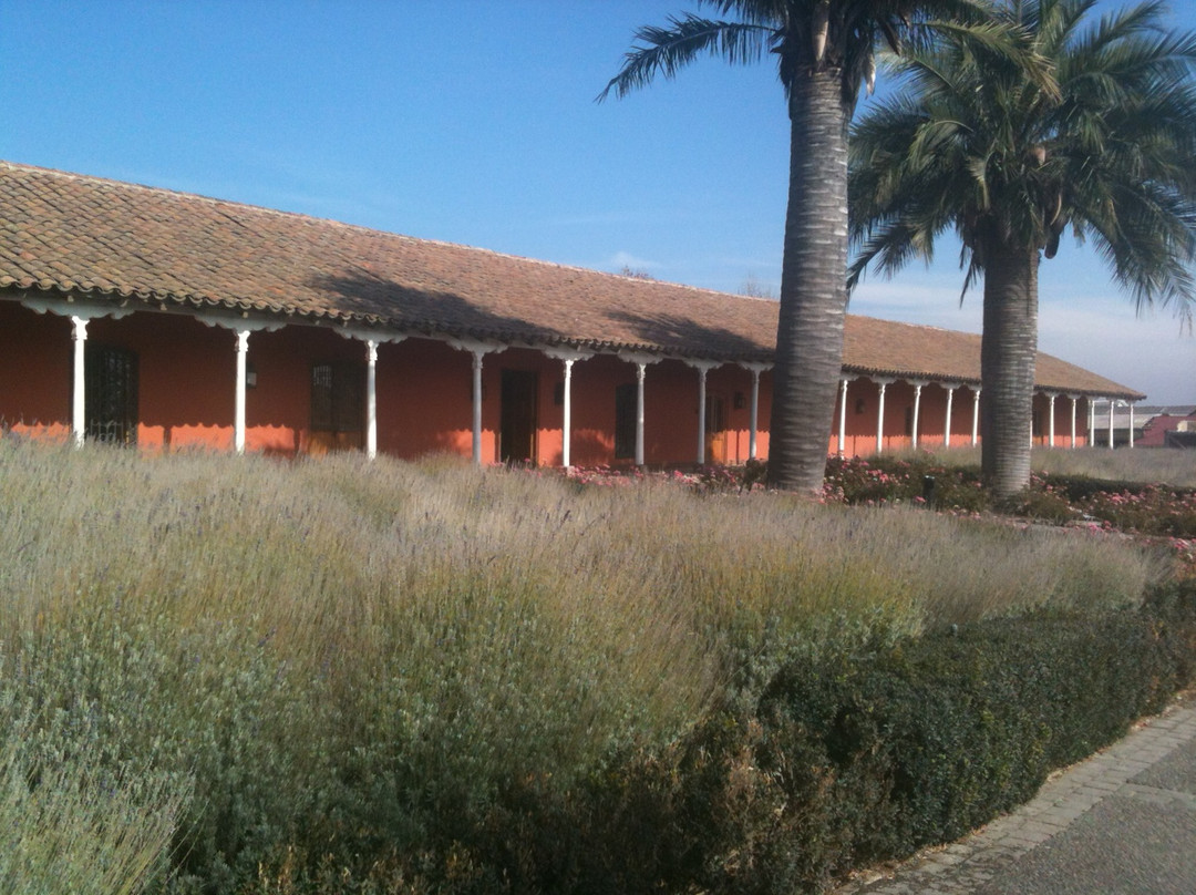 Vina Santa Rita-Buin必去景点