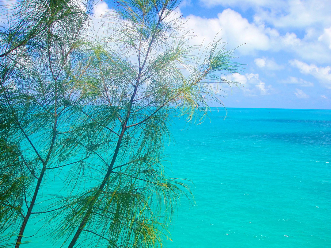 Admiralty House Park-汉密尔顿必去景点