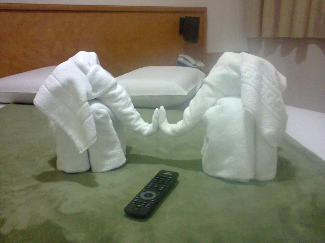 Grande Hotel Guarapuava主图