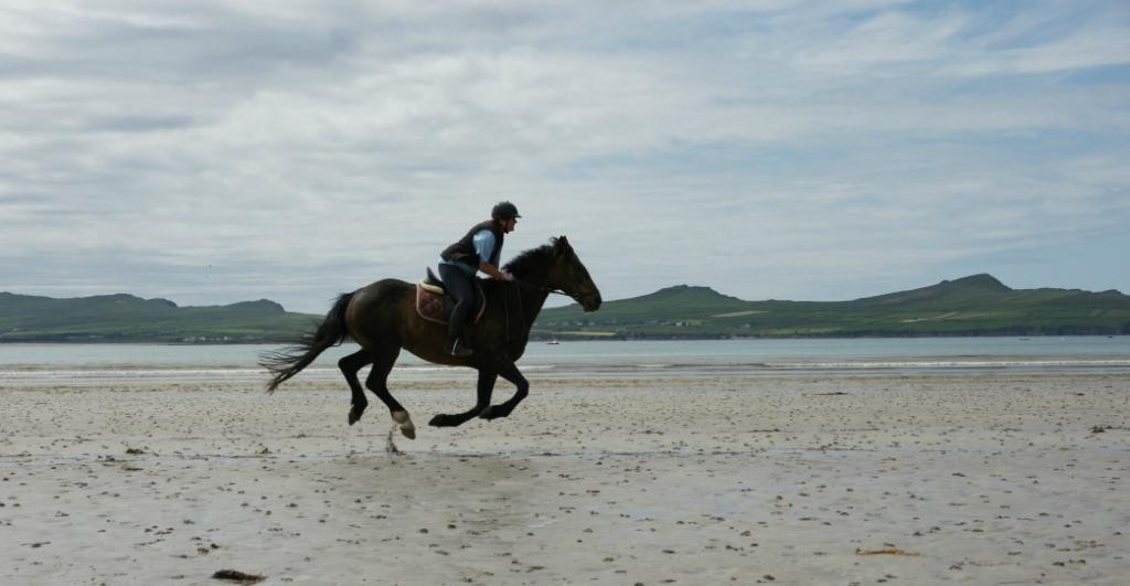 Sea View Equestrian-Ballydavid必去景点