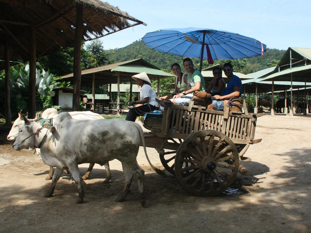 Thai Unique Tour-清迈必去景点