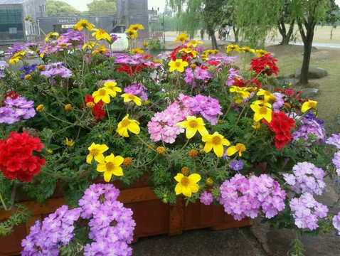 浦东高桥滨江森林公园-上海市必去景点