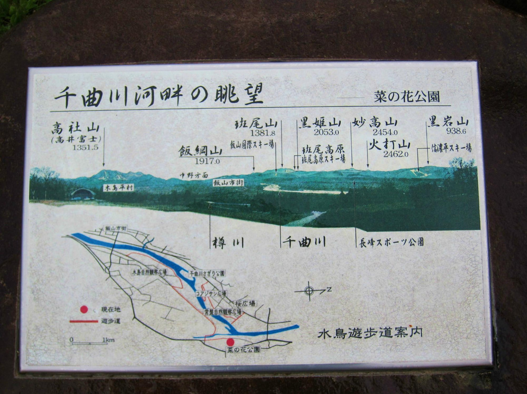 Nanohana Park-饭山市必去景点